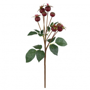 Шиповник, 56см, бордовый в интернет-магазине флористических аксессуаров Азалия Декор