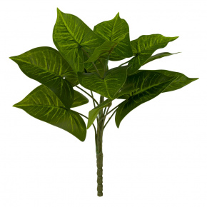 Алоказия на вставке, 33см, темно-зеленый в интернет-магазине флористических аксессуаров Азалия Декор