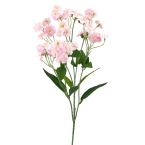 Гвоздика садовая кустовая, 65см, розовый в интернет-магазине флористических аксессуаров Азалия Декор