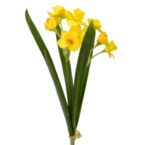 Нарцисс на вставке, 45см, желтый в интернет-магазине флористических аксессуаров Азалия Декор