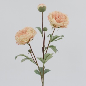 Пион, 72см, персиковый в интернет-магазине флористических аксессуаров Азалия Декор