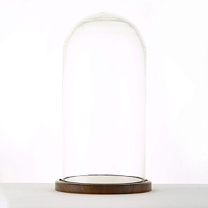 Колпак на подставке (стекло/дерево), D15xH30см в интернет-магазине флористических аксессуаров Азалия Декор