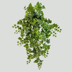 Ветка Плющ, 100см, белый/зеленый в интернет-магазине флористических аксессуаров Азалия Декор