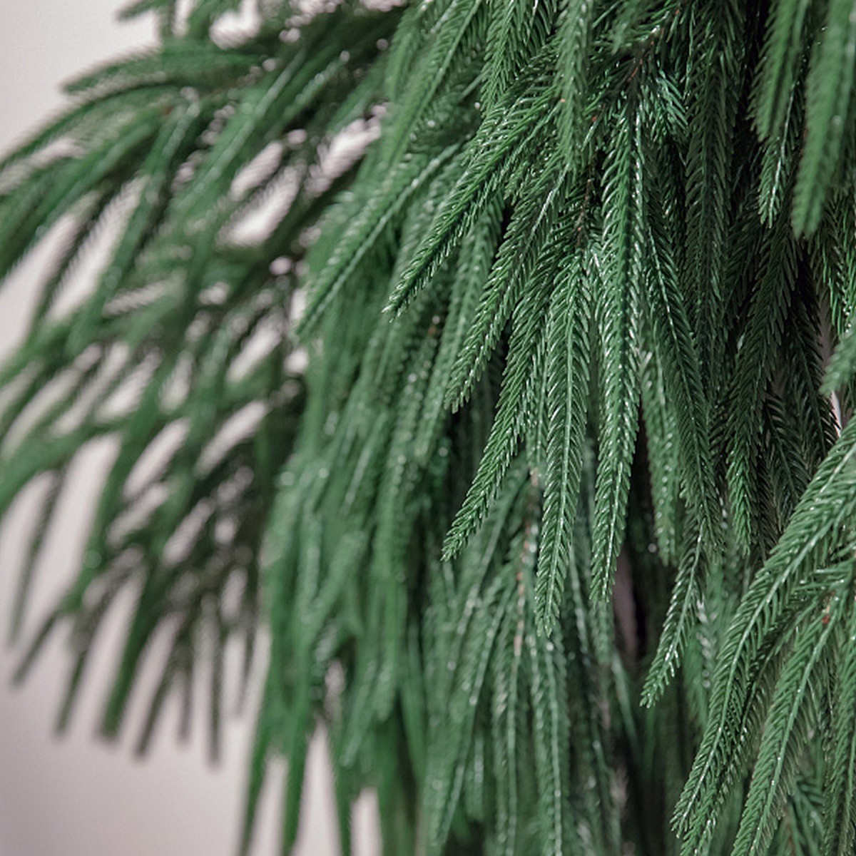 Ветка хвои Южная, 138 см, зеленый в интернет-магазине флористических аксессуаров Азалия Декор