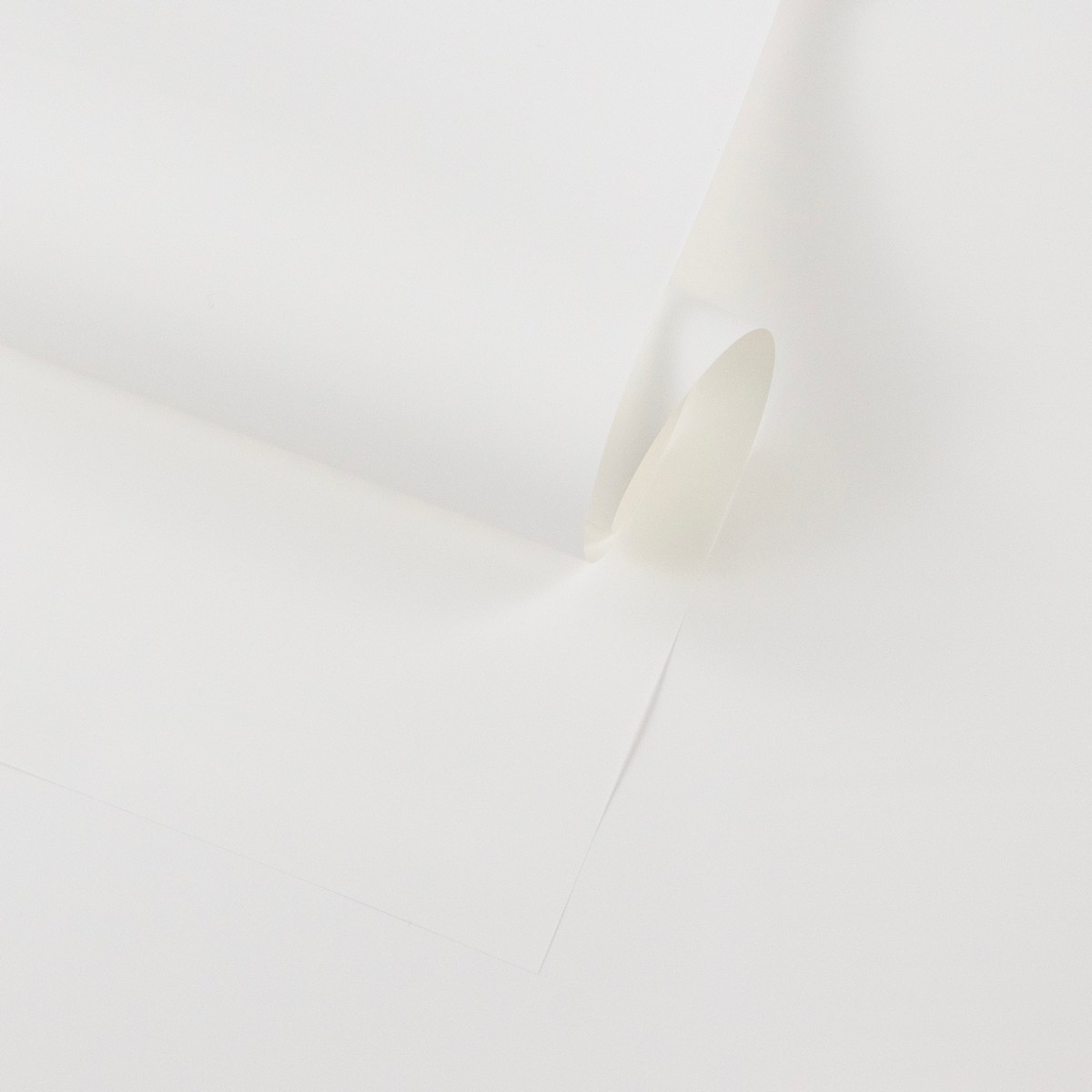 Пленка матовая 65мкр, 20 листов, 58х58см, белый в интернет-магазине флористических аксессуаров Азалия Декор