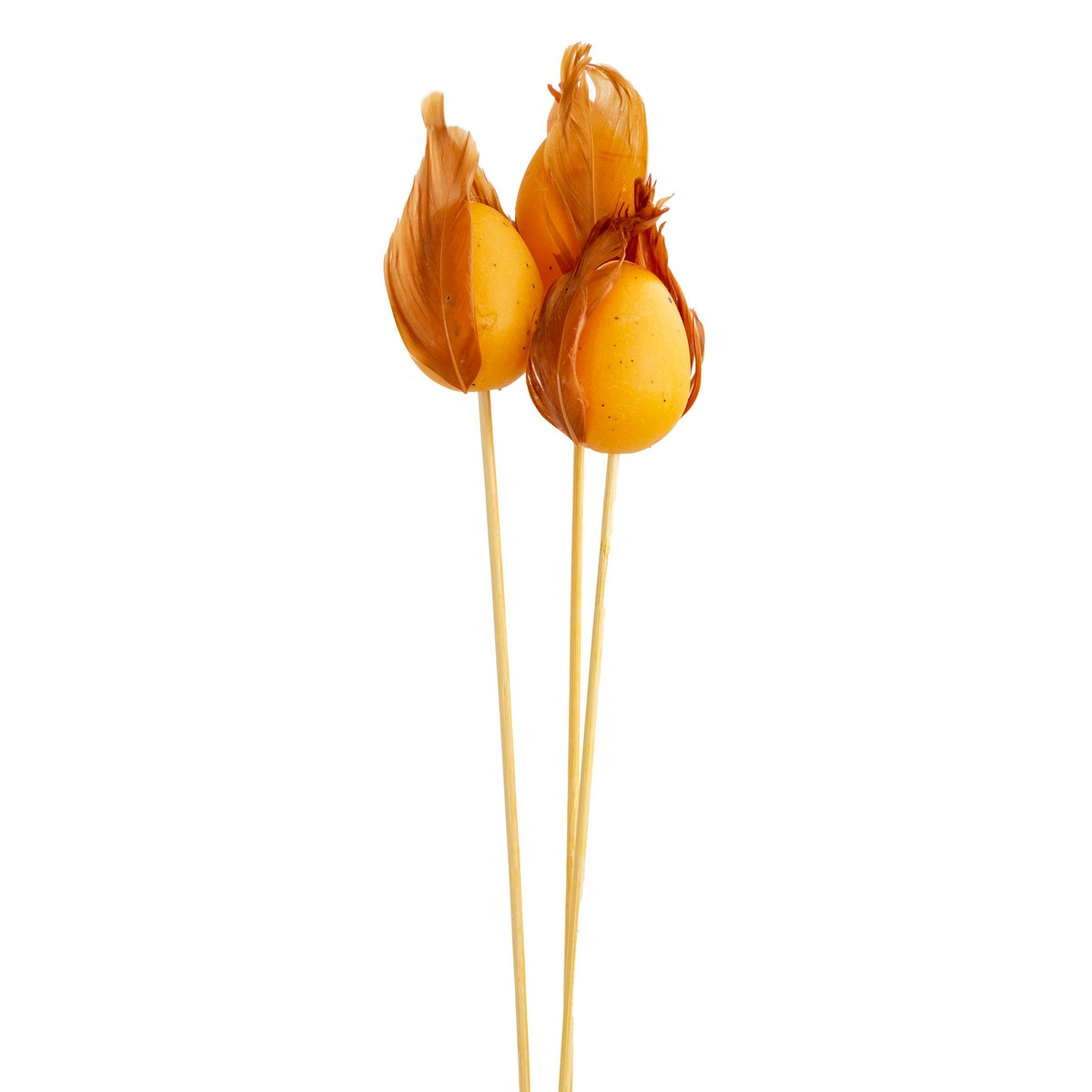 Набор вставок Яйцо 6шт. (пластик), 4,5хH49,5см, натуральный в интернет-магазине флористических аксессуаров Азалия Декор