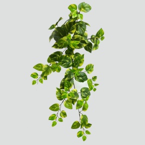 Ветка Эпипремнум золотистый, 64см, зеленый в интернет-магазине флористических аксессуаров Азалия Декор