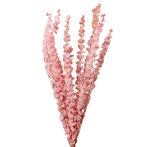 Набор эвкалипта 10шт., 60 см, светло-розовый в интернет-магазине флористических аксессуаров Азалия Декор