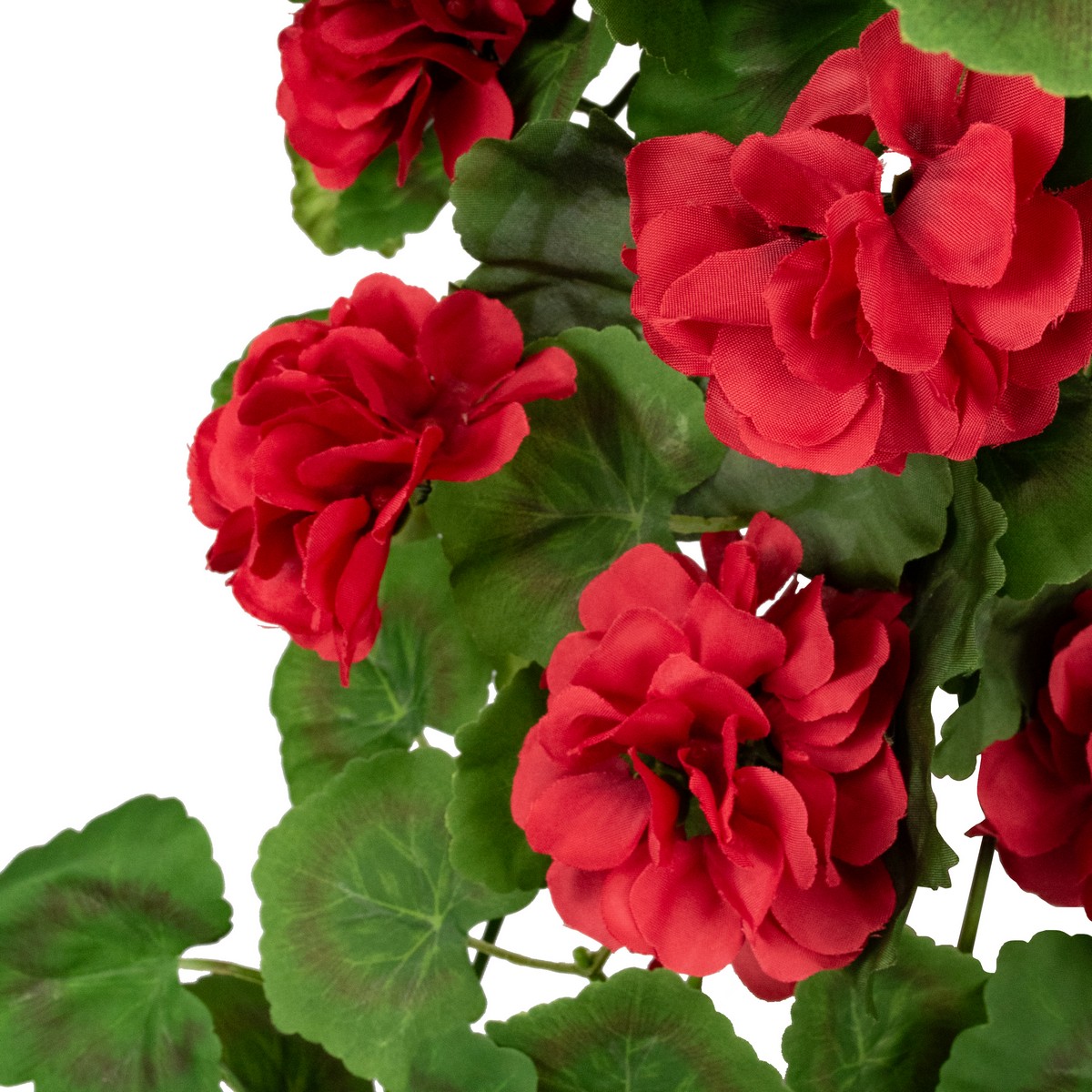 Герань, 80см, красный в интернет-магазине флористических аксессуаров Азалия Декор