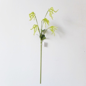 Амарант, 84см, светло-зеленый в интернет-магазине флористических аксессуаров Азалия Декор