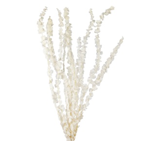 Набор эвкалипта 10шт., 60 см, белый в интернет-магазине флористических аксессуаров Азалия Декор