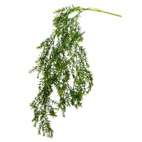 Ветка Аспарагус, 81см, зеленый в интернет-магазине флористических аксессуаров Азалия Декор