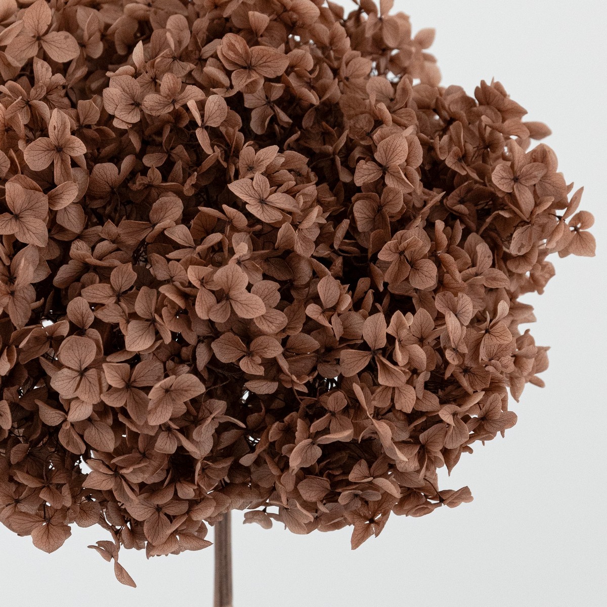 Гортензия, 60-65 см, пыльно-розовый в интернет-магазине флористических аксессуаров Азалия Декор