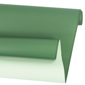 Пленка матовая двусторонняя 65мкр, 58 см 10 м, светло-зеленый/зеленый в интернет-магазине флористических аксессуаров Азалия Декор