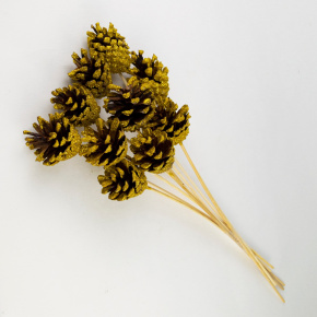 Набор шишек сосновых на вставке 10шт., 5x30см, золотой в интернет-магазине флористических аксессуаров Азалия Декор