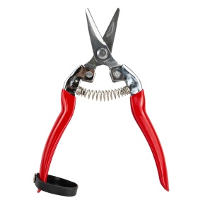 Секатор-ножницы 16,5x3см, красный в интернет-магазине флористических аксессуаров Азалия Декор