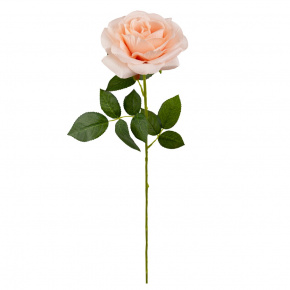 Роза, 63см, кремовый в интернет-магазине флористических аксессуаров Азалия Декор