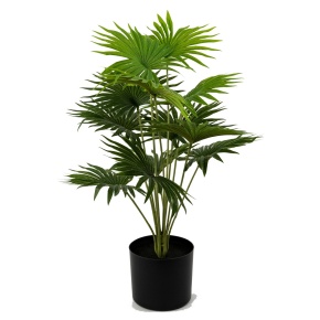 Ливистона в кашпо (пластик), 68см, зеленый в интернет-магазине флористических аксессуаров Азалия Декор