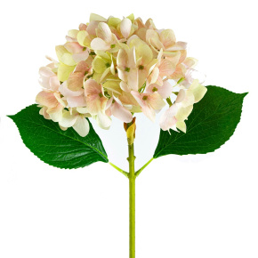 Гортензия, 70см, розовый/кремовый в интернет-магазине флористических аксессуаров Азалия Декор
