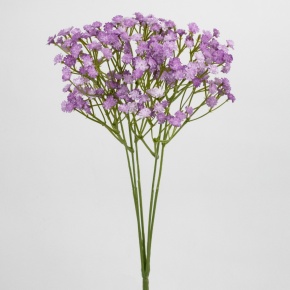 Гипсофила навставке, 40см, сиреневый в интернет-магазине флористических аксессуаров Азалия Декор