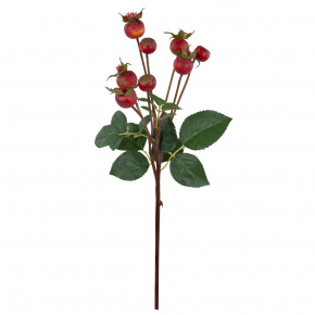 Шиповник, 56см, оранжевый в интернет-магазине флористических аксессуаров Азалия Декор