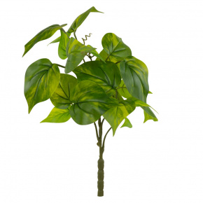 Ветка потоса, 36см, светло-зеленый в интернет-магазине флористических аксессуаров Азалия Декор