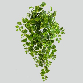 Ветка Эпипремнум золотистый, 100см, зеленый в интернет-магазине флористических аксессуаров Азалия Декор