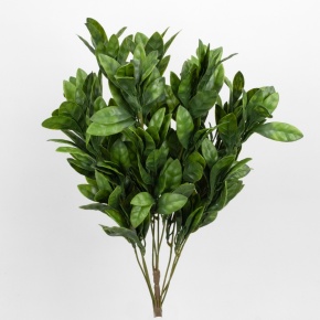 Ветка Рускус на вставке, 53см, зеленый в интернет-магазине флористических аксессуаров Азалия Декор