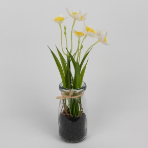 Нарциссы в вазе, 5х5х22см, белый в интернет-магазине флористических аксессуаров Азалия Декор