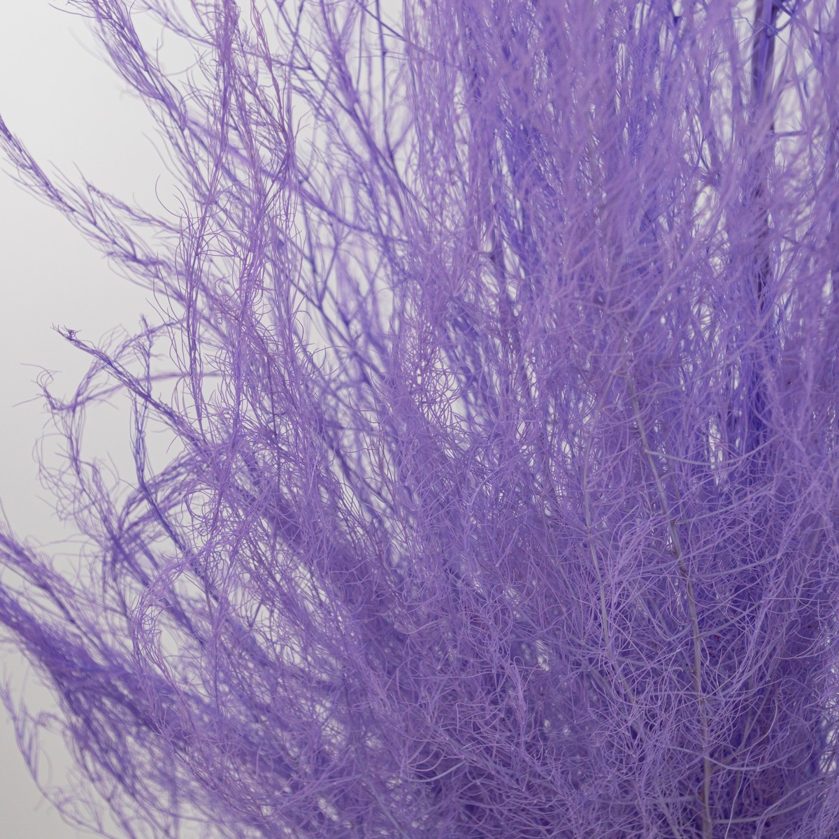 Набор аспарагуса 80гр, 80-100 см, сиреневый в интернет-магазине флористических аксессуаров Азалия Декор