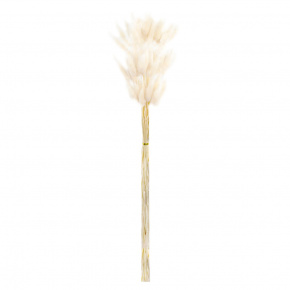 Набор лагуруса 50шт., 65 см, кремовый в интернет-магазине флористических аксессуаров Азалия Декор