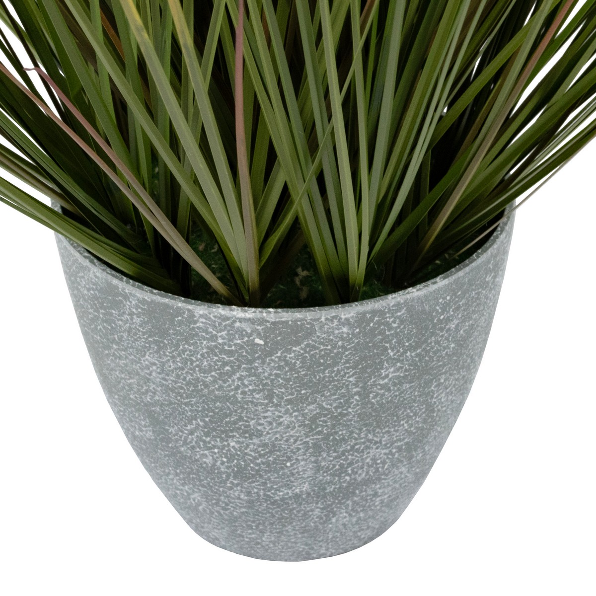 Пампасная трава в кашпо, 61см, зеленый в интернет-магазине флористических аксессуаров Азалия Декор