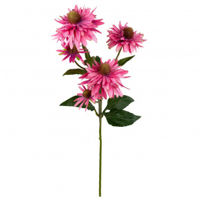 Эхинацея, 73см, розовый в интернет-магазине флористических аксессуаров Азалия Декор