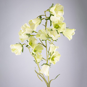 Колокольчик. 77см, белый в интернет-магазине флористических аксессуаров Азалия Декор