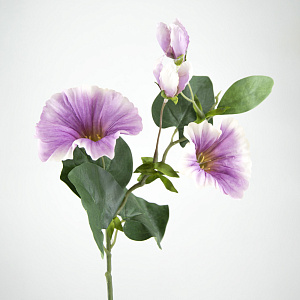 Ипомея, 40см, сиреневый/белый в интернет-магазине флористических аксессуаров Азалия Декор