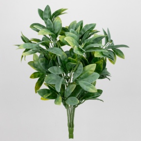 Рускус на вставке, 38см, светло-зеленый в интернет-магазине флористических аксессуаров Азалия Декор