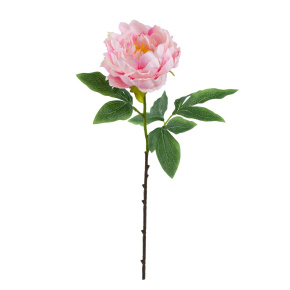 Пион, 61см, светло-розовый в интернет-магазине флористических аксессуаров Азалия Декор