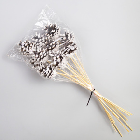 Набор шишек сосновых на вставке 10шт., 5x30см, белый в интернет-магазине флористических аксессуаров Азалия Декор