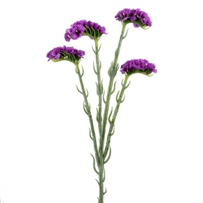 Статица, 64см, сиреневый в интернет-магазине флористических аксессуаров Азалия Декор