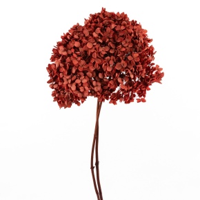 Гортензия, 60-65 см, бордовый в интернет-магазине флористических аксессуаров Азалия Декор