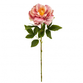 Пион, 71см, персиковый в интернет-магазине флористических аксессуаров Азалия Декор