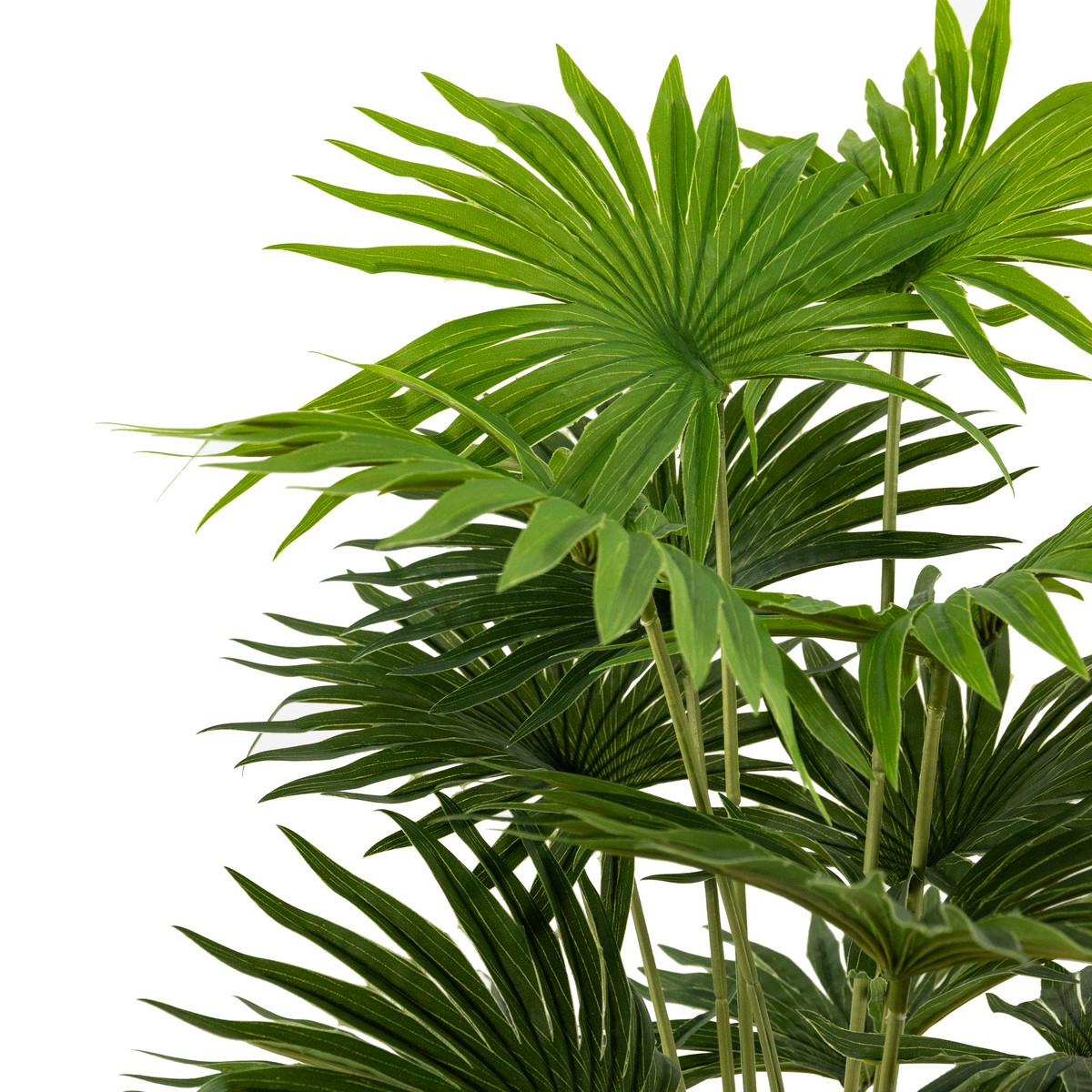 Ливистона в кашпо (пластик), 68см, зеленый в интернет-магазине флористических аксессуаров Азалия Декор