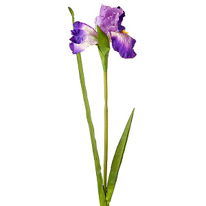 Ирис, 95см, фиолетовый в интернет-магазине флористических аксессуаров Азалия Декор