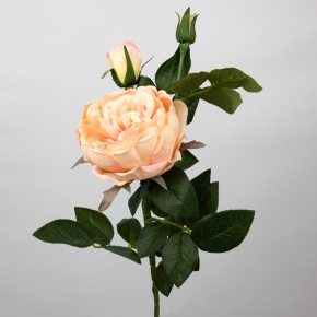 Роза, 75см, персиковый в интернет-магазине флористических аксессуаров Азалия Декор