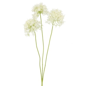 Аллиум, 64см, белый в интернет-магазине флористических аксессуаров Азалия Декор