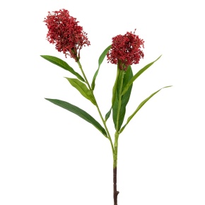 Скимия, 58см, бордовый в интернет-магазине флористических аксессуаров Азалия Декор