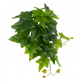 Ветка плющ, 25см, зеленый в интернет-магазине флористических аксессуаров Азалия Декор