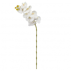 Орхидея, 100см, белый в интернет-магазине флористических аксессуаров Азалия Декор