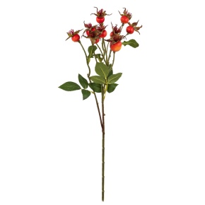 Шиповник, 56см, оранжевый в интернет-магазине флористических аксессуаров Азалия Декор