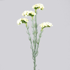 Статица, 64см, белый в интернет-магазине флористических аксессуаров Азалия Декор
